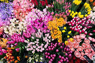 《最终幻想16》制作人致歉 新情报推迟至 2022 年春发布